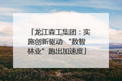 龙江森工集团：实施创新驱动 “数智林业”跑出加速度
